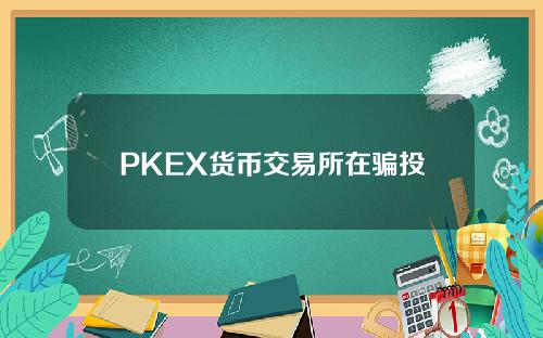 PKEX货币交易所在骗投资者