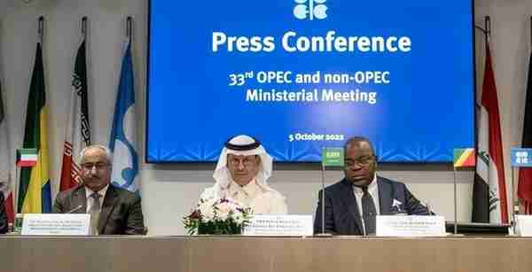 沙特扩大投资，助力中国石油稳定后，OPEC+升级减产，美：反对