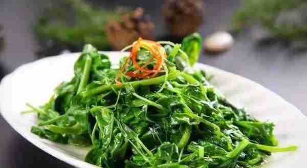 【康养旅居•最康县】野菜正当“食”！平洛的这些美味，你品尝过几种？