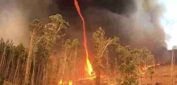 难以置信！澳大利亚丛林大火中窜出冲天火旋风