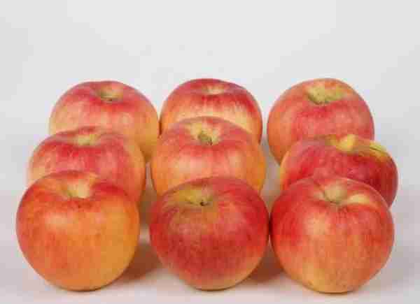 红苹果、黄苹果、绿苹果，这么多苹果该如何进行产品布局？