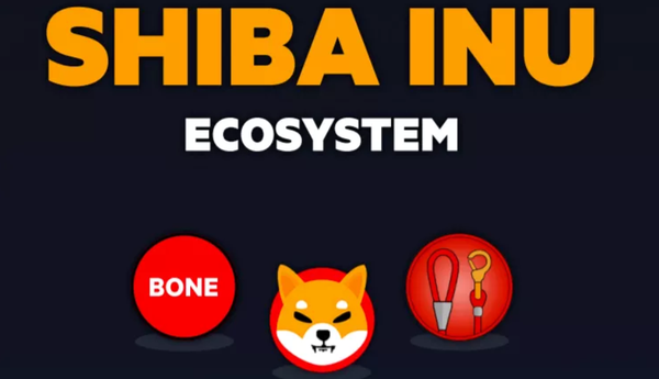   Bitget官方网站app，Bitget怎么购买SHIB