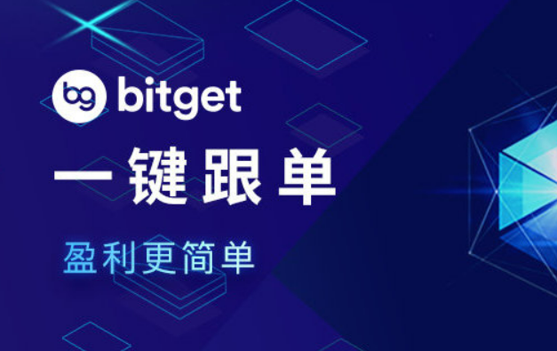   泰达币安全交易平台首选Bitget交易所